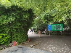 -西苑公园