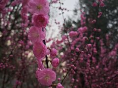 -北京大学(昌平校区)