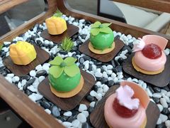 -君悦酒店·大堂酒吧·高空下午茶·暮色微醺