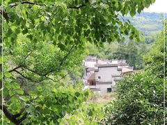 -塔川景区