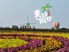 -荷兰花海