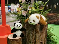 -香港会议展览中心演讲厅