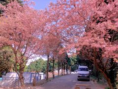 -福州大学(旗山校区)