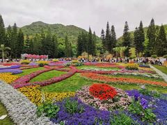 -深圳仙湖植物园