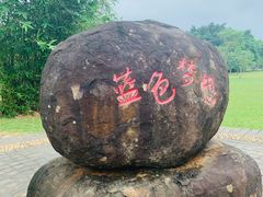 -万绿园