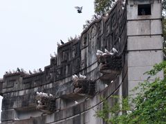 -音乐台