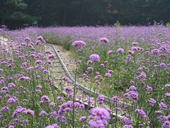 -云峰山自然风景区