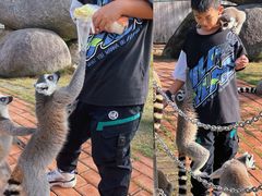 -泉州海丝野生动物世界