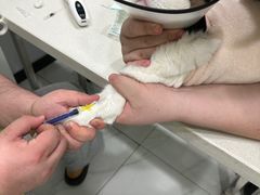 -艾吉宠物医院·疑难杂症转诊中心·猫友好(碧江路院)