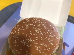 -麦当劳(保定裕华路店)