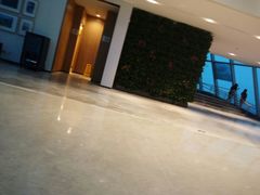 -WFC会仙楼观景台