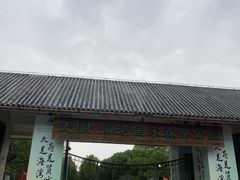 -上海海湾国家森林公园