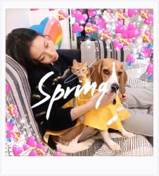 -大麦微针植发全国连锁