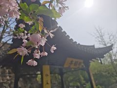 -清晏园