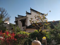 -塔川景区