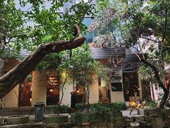 -小洲村