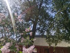 -红螺寺