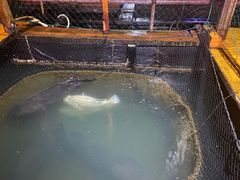 -蓝湾碧波·老字号·疍家非遗海上餐厅