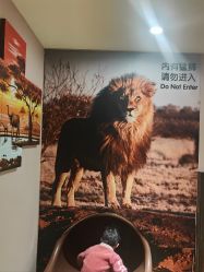 -卡通尼·Safari非洲探索乐园·生日会(金桥国际商业广场店)