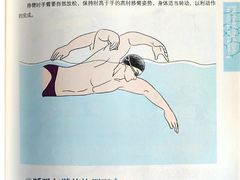 -陕西省游泳跳水馆