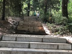 -终南山古楼观历史文化景区
