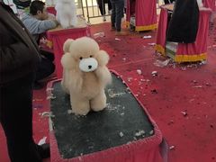 -天津梅江印象城