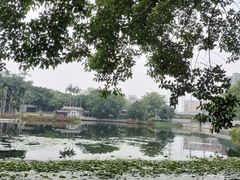 -荔湾湖公园