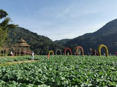 -广州市石门国家森林公园