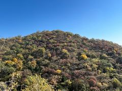 -北京西山国家森林公园