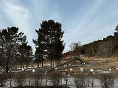 -沈阳森林动物园