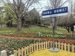 -香山公园