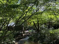 -中国茶叶博物馆(双峰馆区)