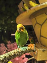 -酷嗒动物文化乐园(cutezoo西溪乐天城店)