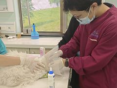 -北京观赏动物医院·24小时大型综合·猫专科·异宠专科