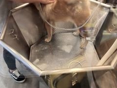 -PETKIT小佩宠物(古北店)
