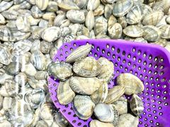 -世纪联华超市(外海店)