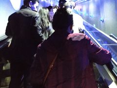 -白鹤梁水下博物馆