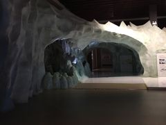 -青藏高原自然博物馆