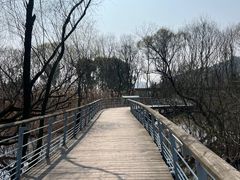 -西湖风景区-江洋畈生态公园