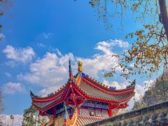 -黔灵山公园