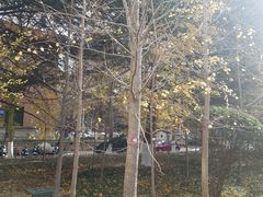 -山东大学(千佛山校区)