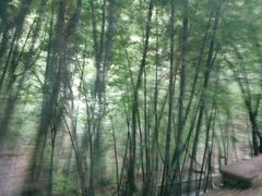 -穹窿山景区