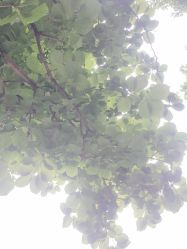 点击看大图 -重庆医科大学附属儿童医院(渝中院区)