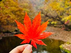 -关门山森林公园