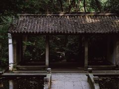 -虎跑公园