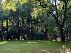 -上海共青森林公园