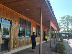 -大湾区中央湿地公园