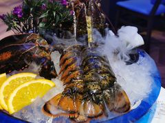 -半岛听涛蒸汽海鲜自助(K11店)