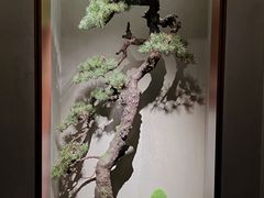 -觀芷隐轩