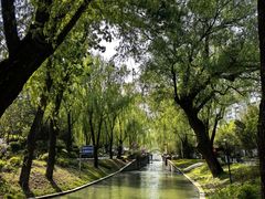 -皇家御河游(紫御湾码头)